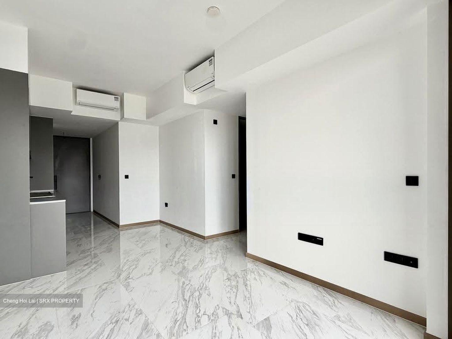The Landmark (D3), Condominium #613061061